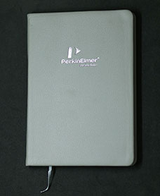 in-so-bia-da-dan-gay-siss