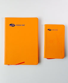 so-da-dan-gay-kosia-ec