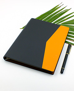 so-da-lan-son-canh-gap-2-ms-07