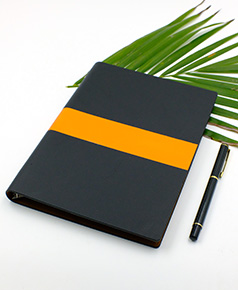 so-da-lan-son-canh-gap-2-ms-08