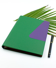 so-da-lan-son-canh-gap-2-ms-09