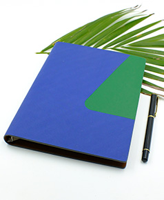 so-da-lan-son-canh-gap-2-ms-10