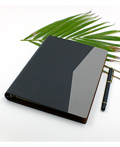 so-da-lan-son-canh-gap-2-ms-12