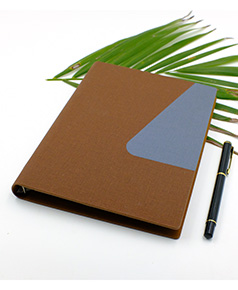 so-da-lan-son-canh-gap-2-ms-13