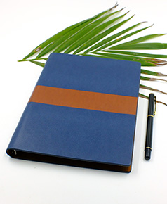 so-da-lan-son-canh-gap-2-ms-14