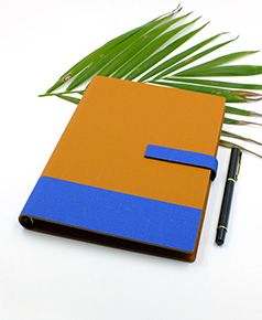 so-da-lan-son-canh-gap-2-ms-16