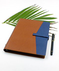 so-da-lan-son-canh-gap-2-ms-17