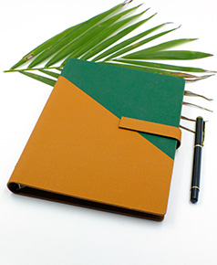 so-da-lan-son-canh-gap-2-ms-18