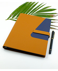 so-da-lan-son-canh-gap-2-ms-20