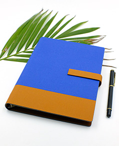 so-da-lan-son-canh-gap-2-ms-22