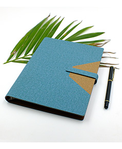 so-da-lan-son-canh-gap-2-ms-24