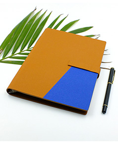 so-da-lan-son-canh-gap-2-ms-25