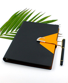 so-da-lan-son-canh-gap-2-phu-kien-ms-32