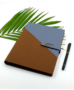 so-da-lan-son-canh-gap-2-phu-kien-ms-33