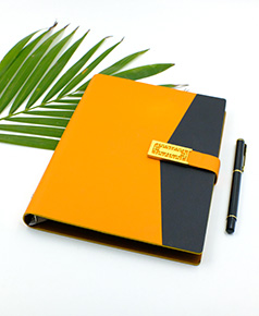 so-da-lan-son-canh-gap-2-phu-kien-ms-36