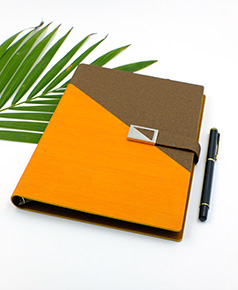 so-da-lan-son-canh-gap-2-phu-kien-ms-37