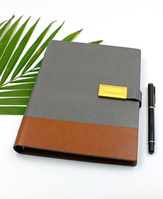 so-da-lan-son-canh-gap-2-phu-kien-ms-38