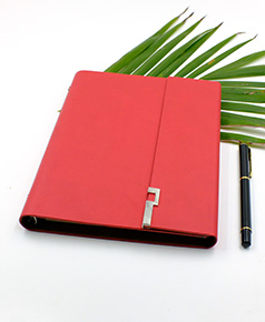 so-da-lan-son-canh-gap-3-phu-kien-ms-02