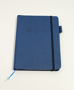 in-so-da-dan-gay-lifewise