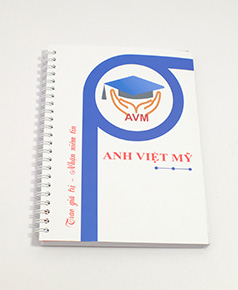 in-so-gay-lo-xo-anh-viet-my