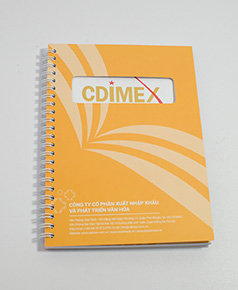 in-so-gay-lo-xo-cdimex