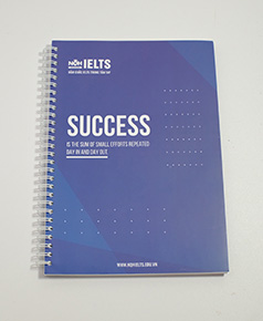 in-so-gay-lo-xo-success